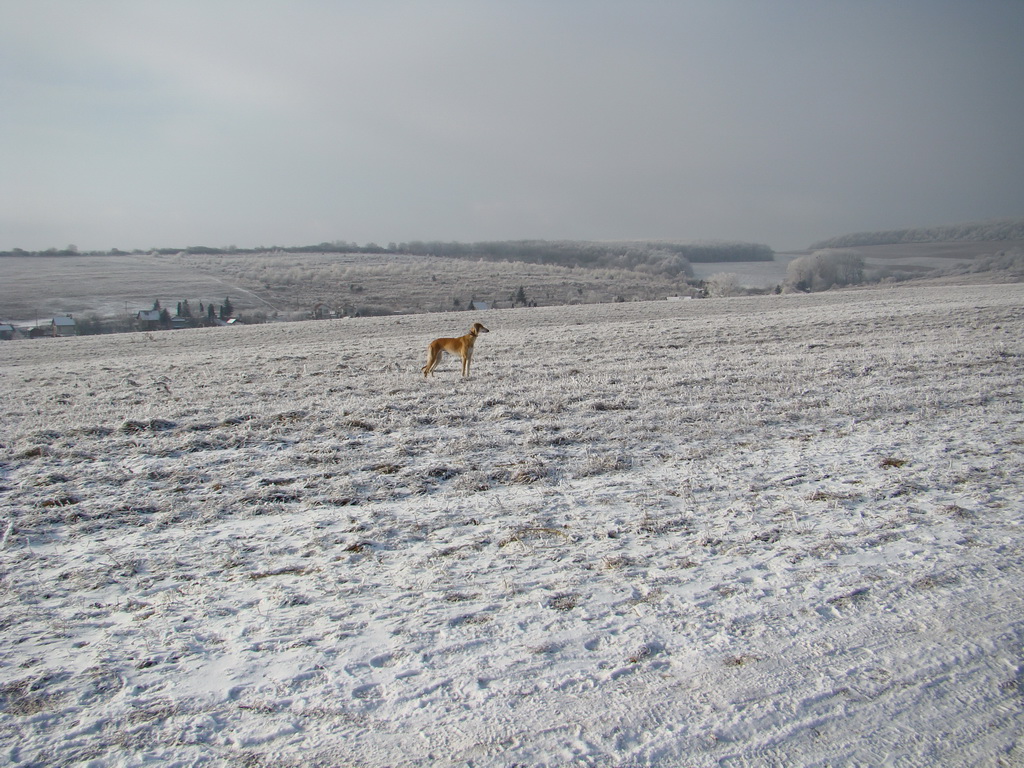 Bankov 25.12.2007