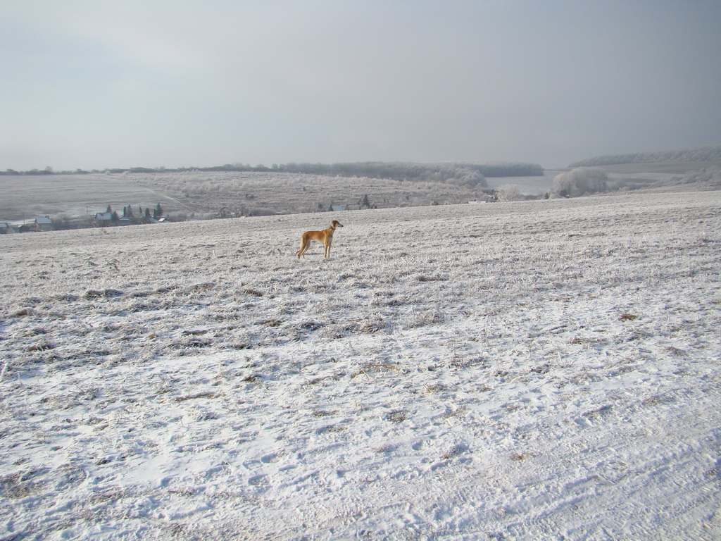 Bankov 25.12.2007