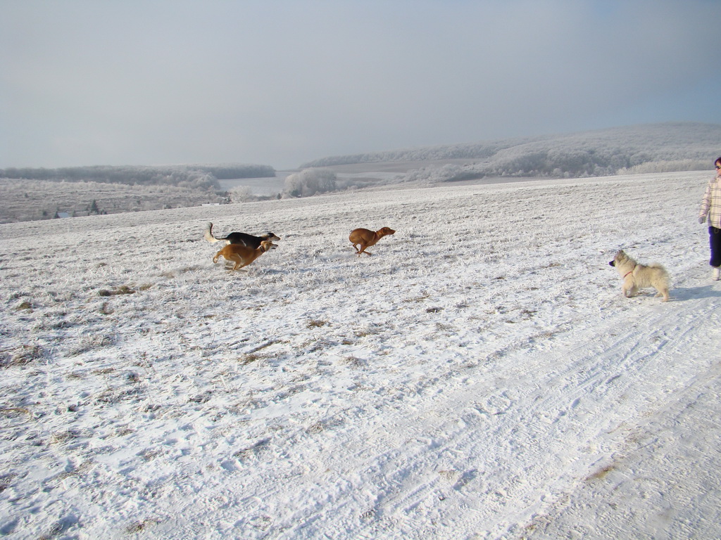 Bankov 25.12.2007