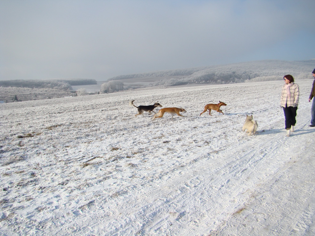 Bankov 25.12.2007