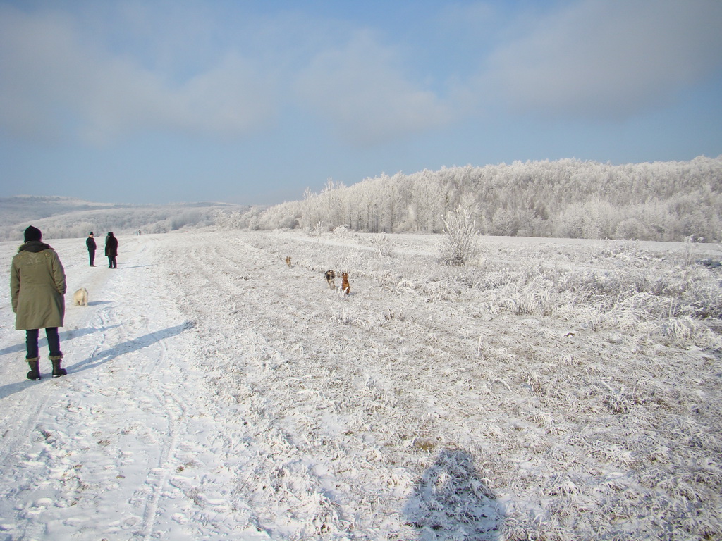 Bankov 25.12.2007