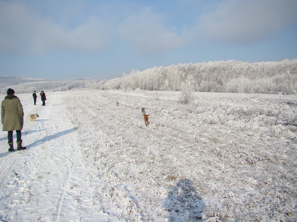 Bankov 25.12.2007