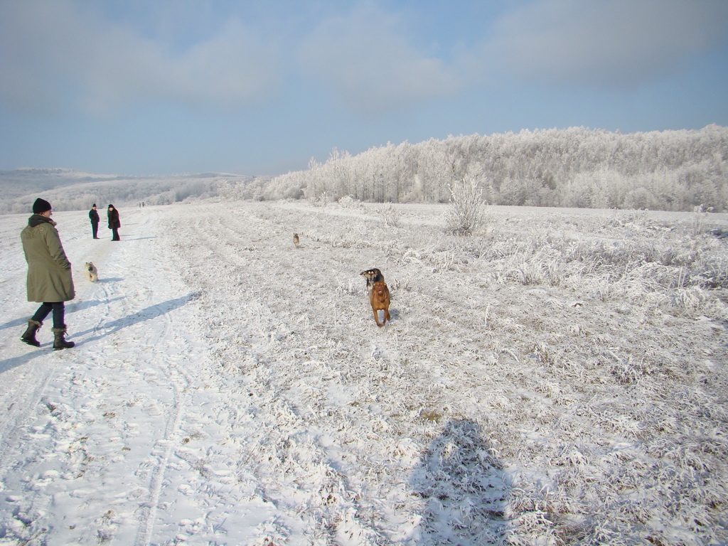 Bankov 25.12.2007