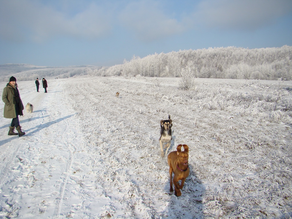 Bankov 25.12.2007