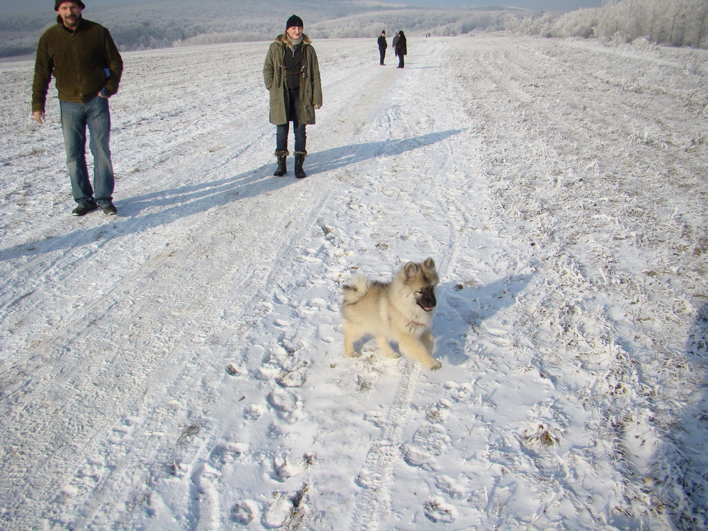 Bankov 25.12.2007