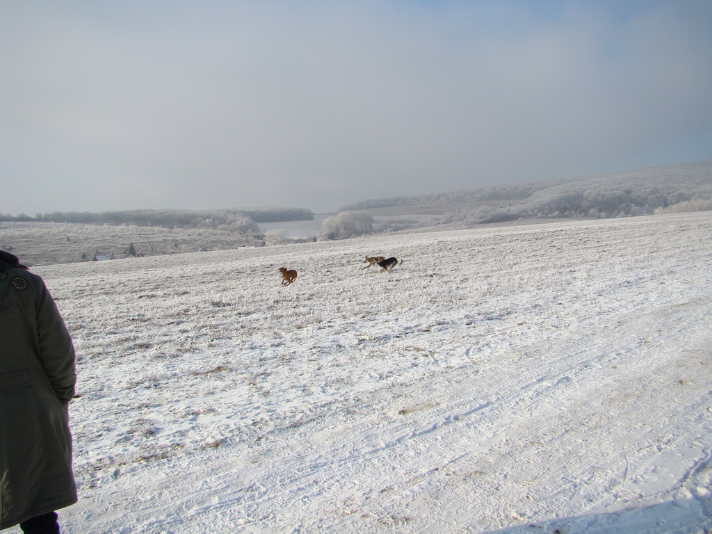 Bankov 25.12.2007