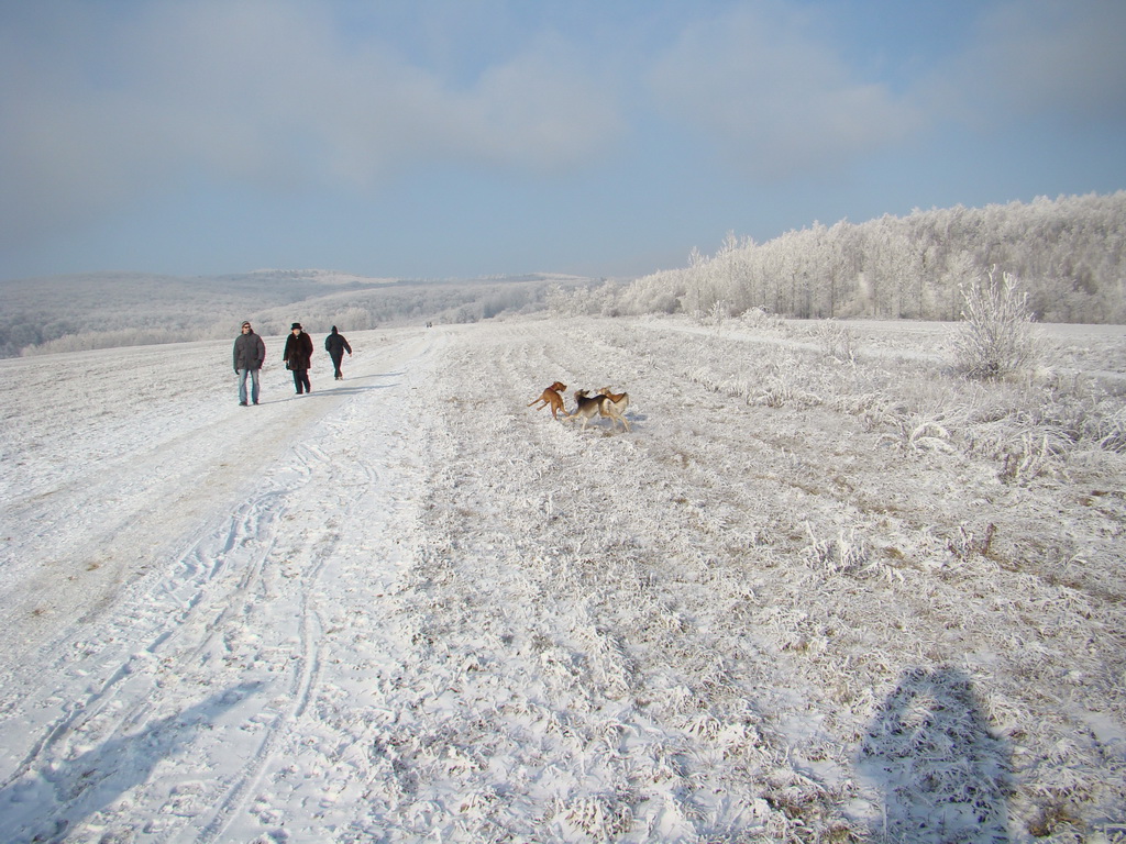 Bankov 25.12.2007