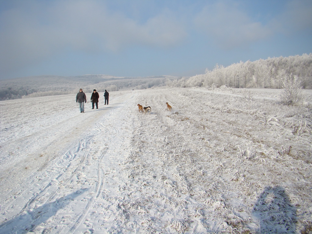 Bankov 25.12.2007