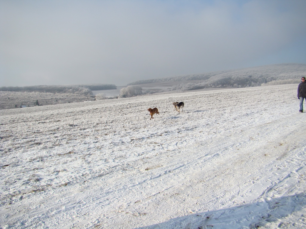 Bankov 25.12.2007