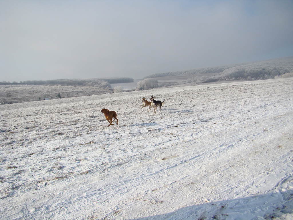 Bankov 25.12.2007