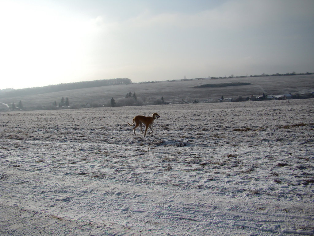 Bankov 25.12.2007