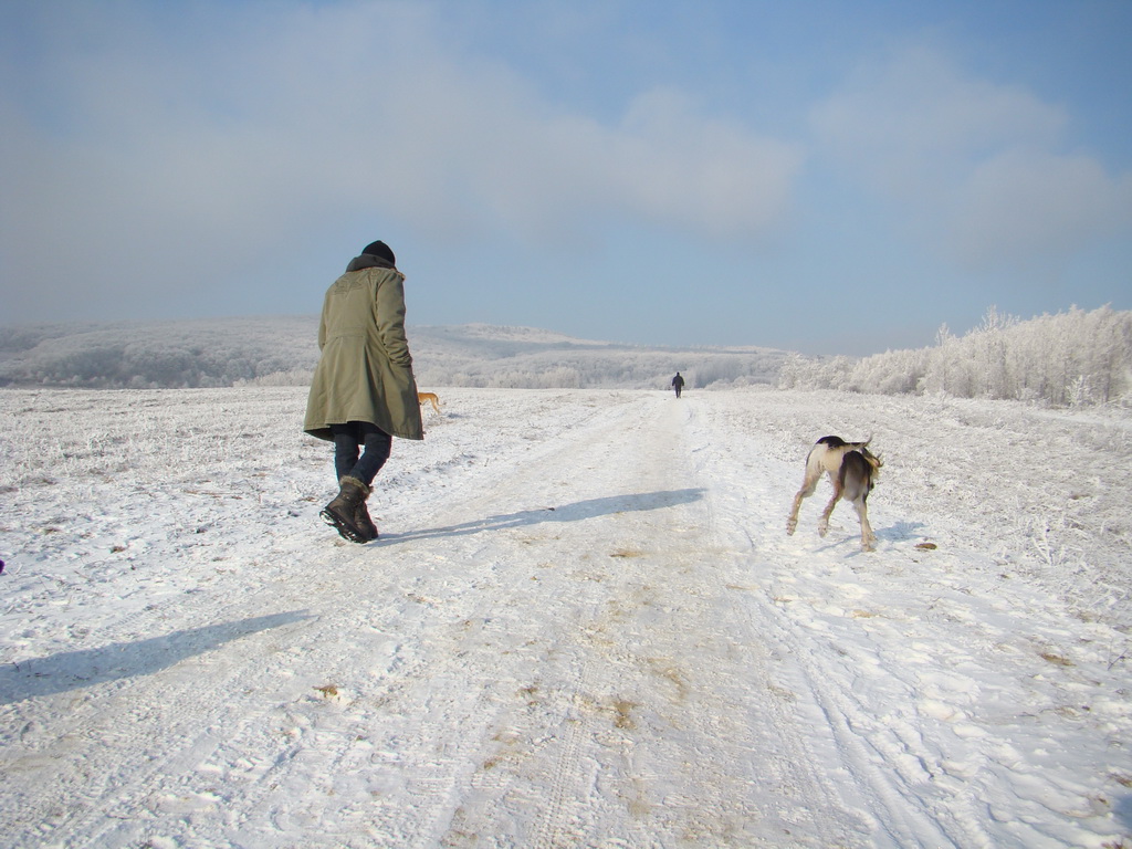 Bankov 25.12.2007