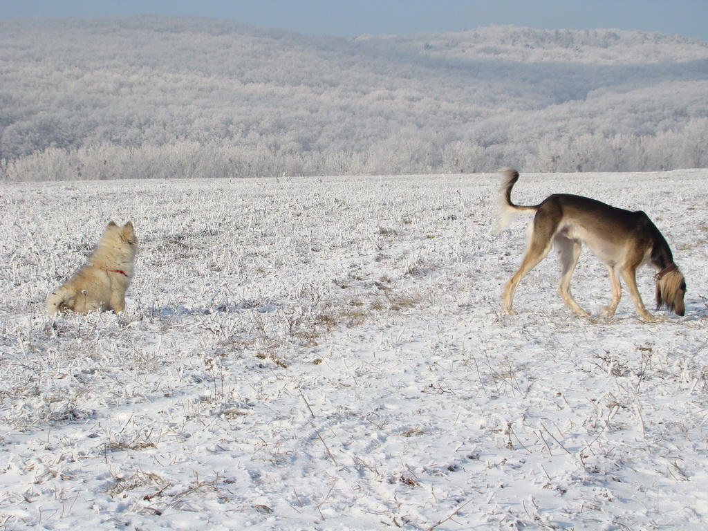 Bankov 25.12.2007