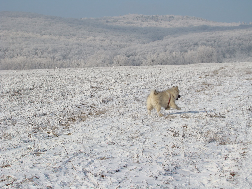 Bankov 25.12.2007