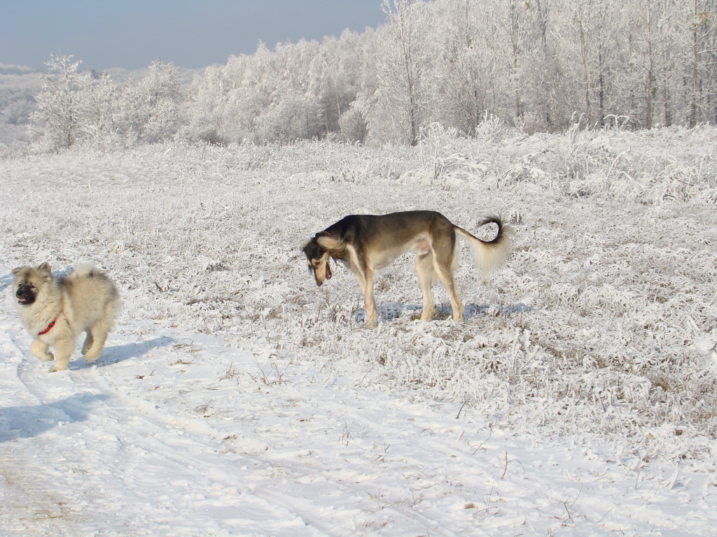 Bankov 25.12.2007