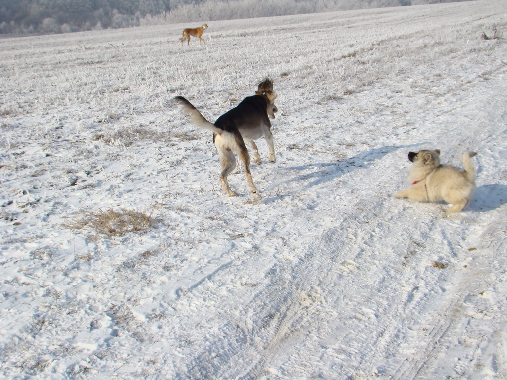 Bankov 25.12.2007