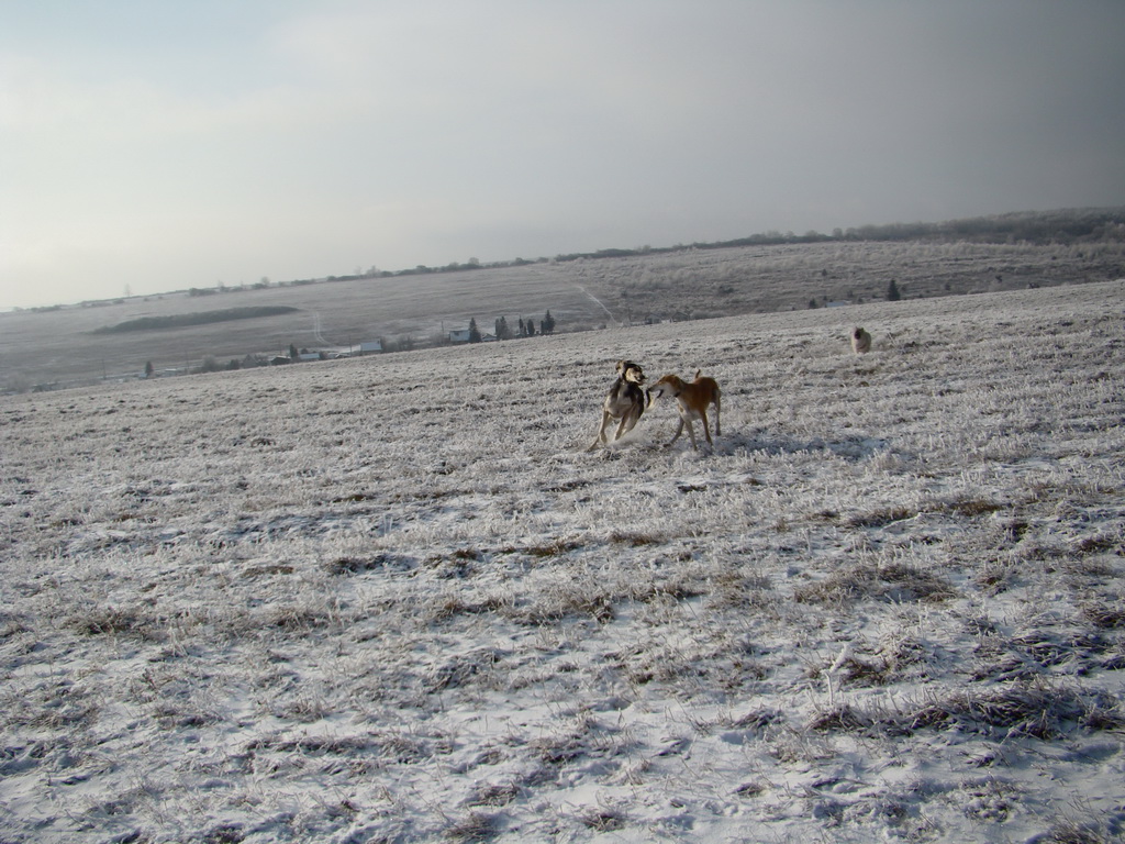 Bankov 25.12.2007