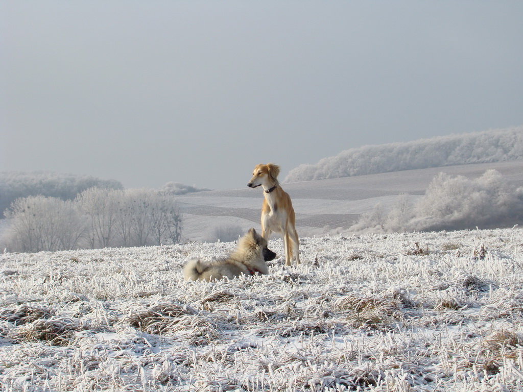 Bankov 25.12.2007