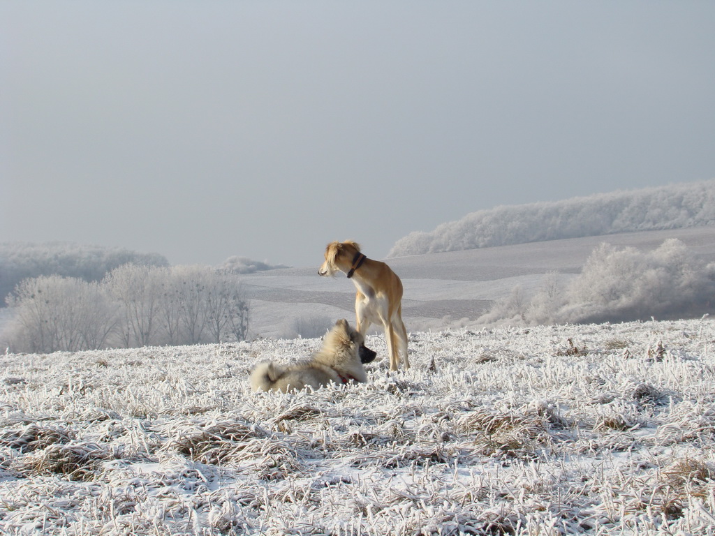 Bankov 25.12.2007