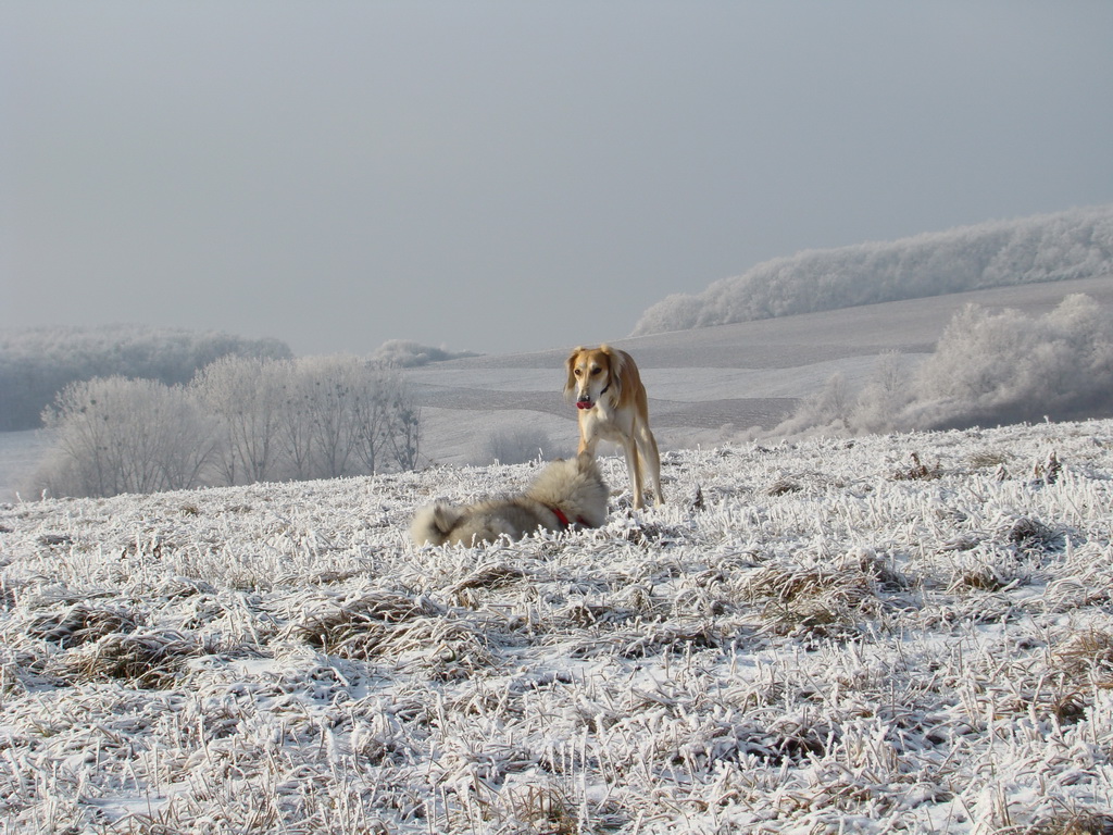 Bankov 25.12.2007