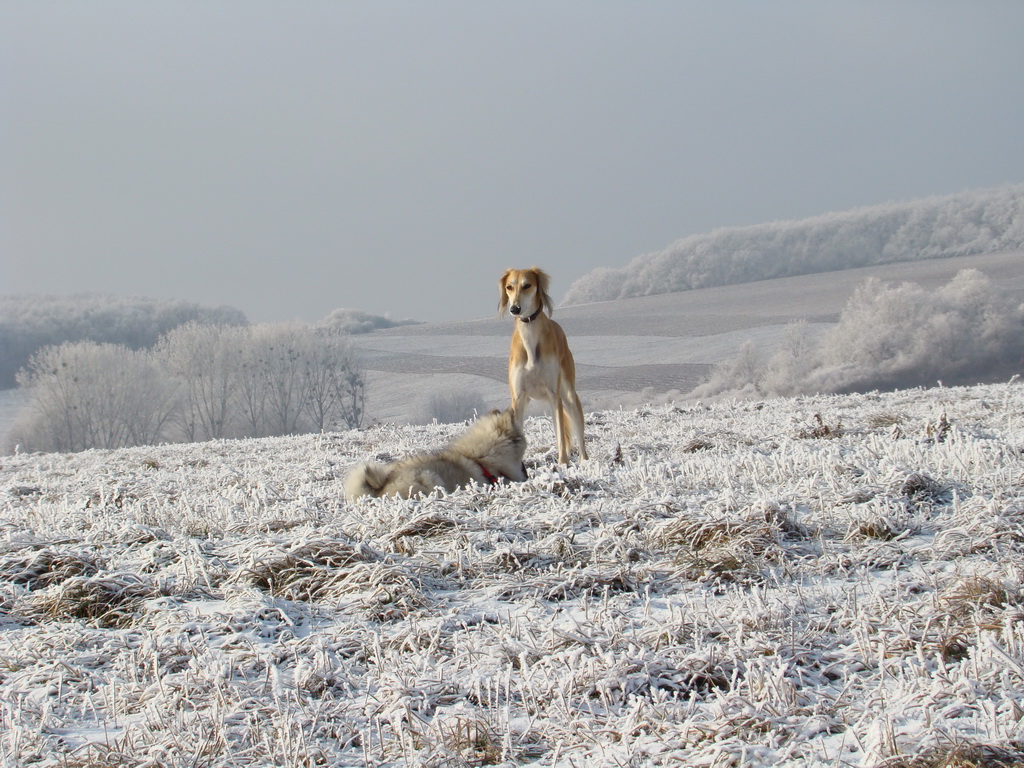 Bankov 25.12.2007