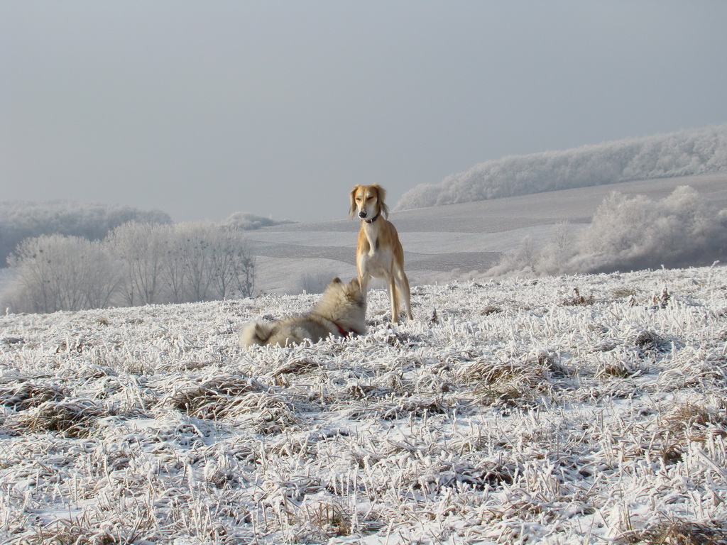 Bankov 25.12.2007