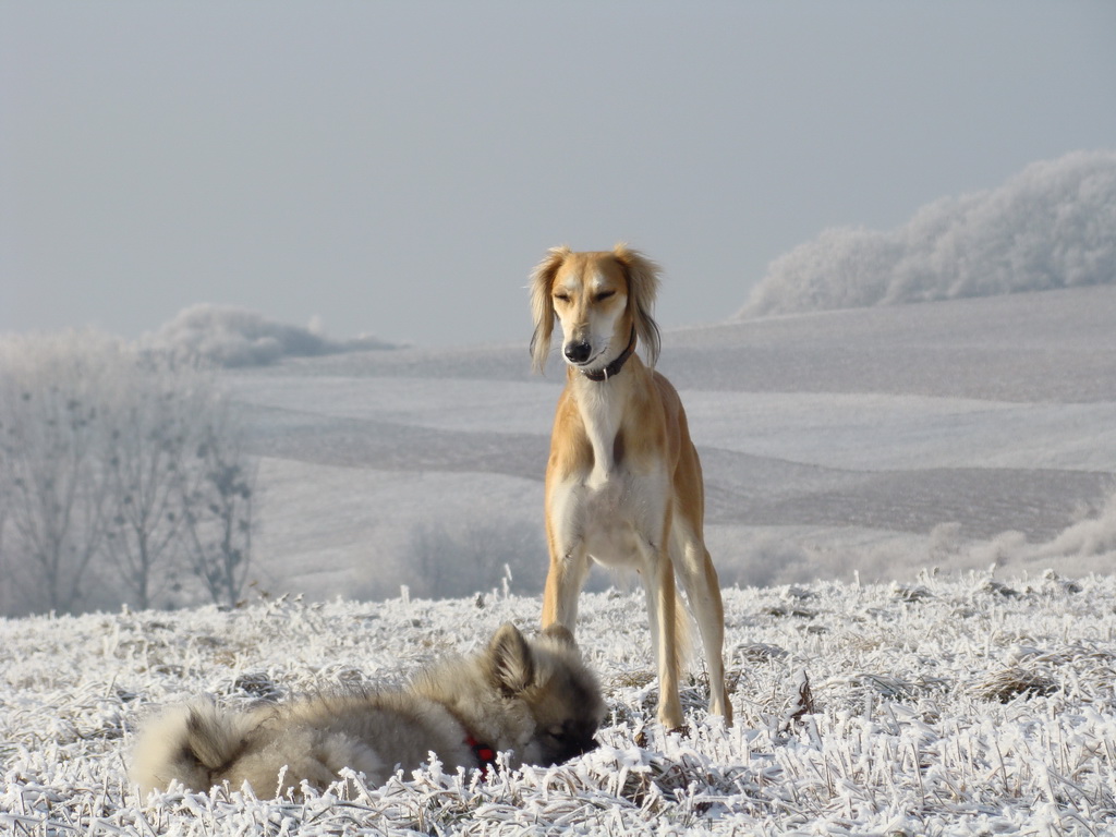 Bankov 25.12.2007