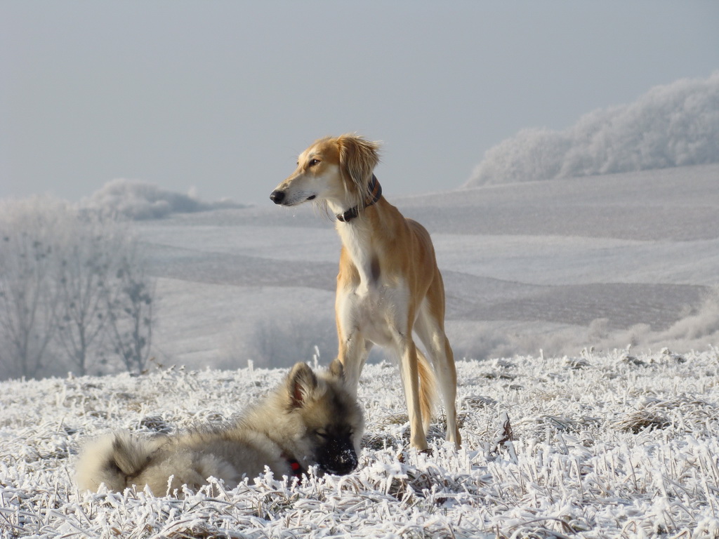 Bankov 25.12.2007