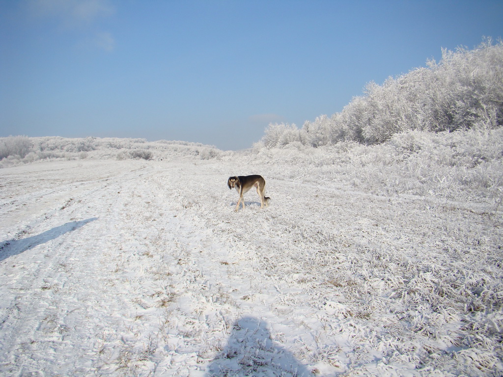 Bankov 25.12.2007