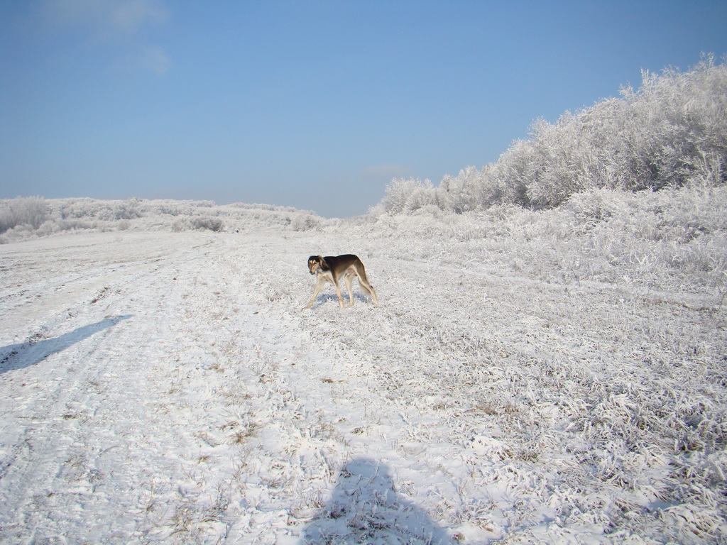 Bankov 25.12.2007