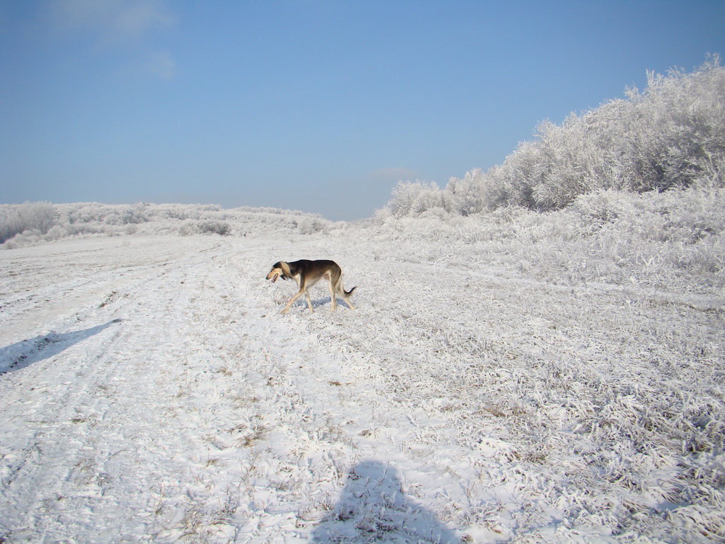 Bankov 25.12.2007