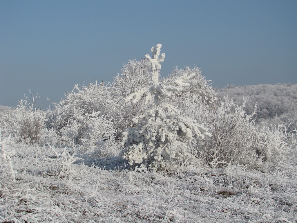 Bankov 25.12.2007