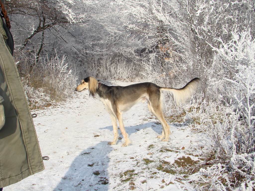 Bankov 25.12.2007