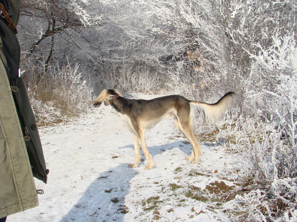 Bankov 25.12.2007