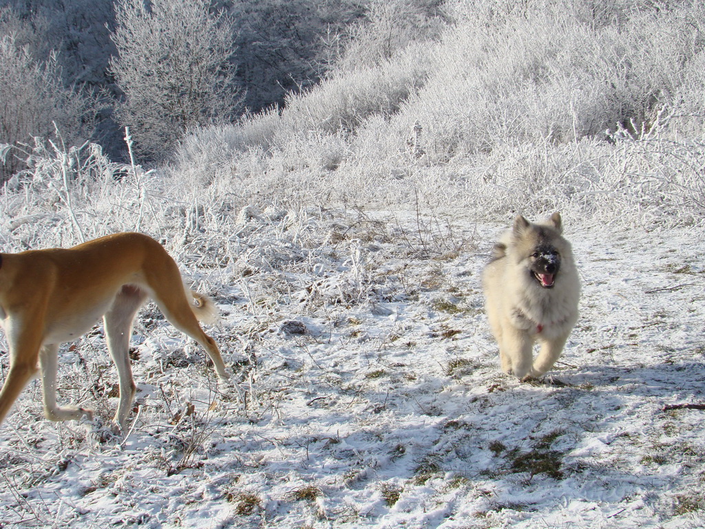 Bankov 25.12.2007