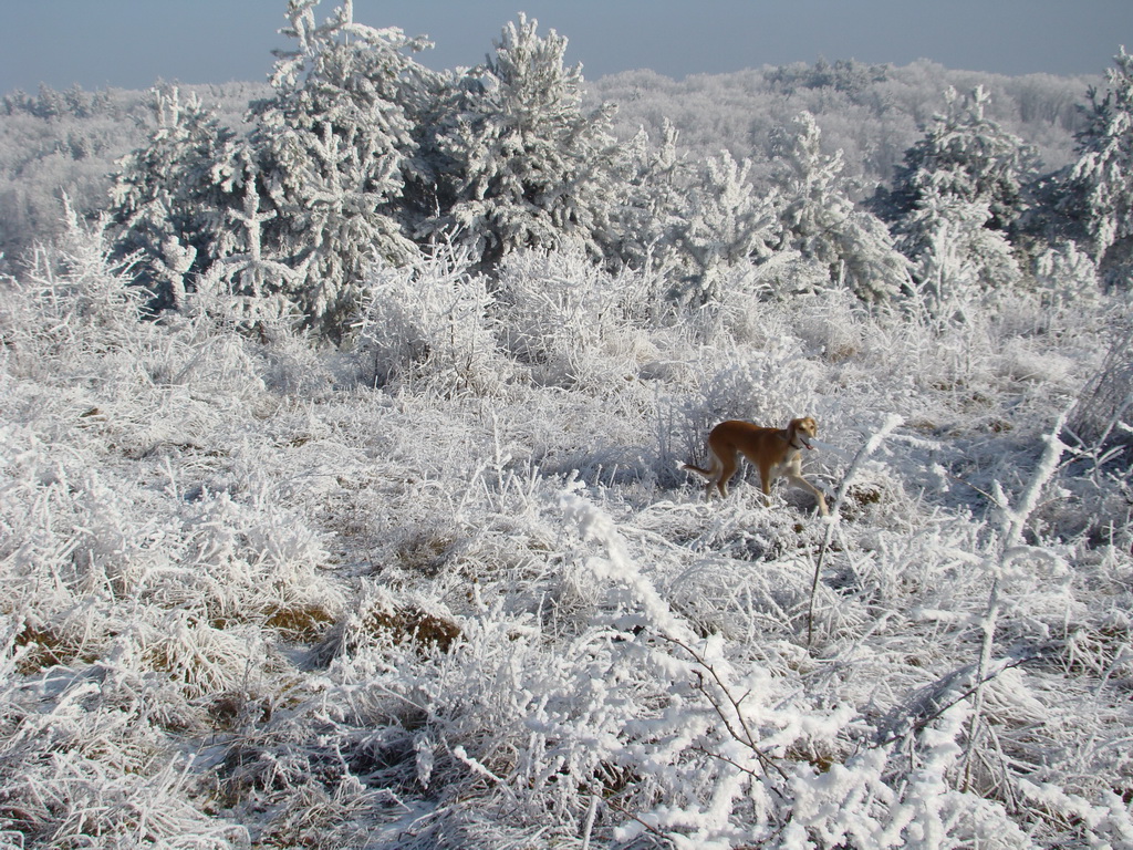 Bankov 25.12.2007