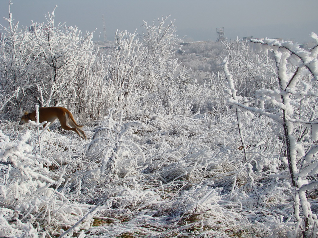 Bankov 25.12.2007