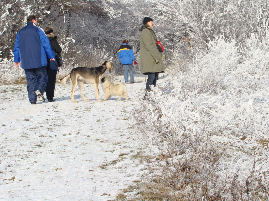 Bankov 25.12.2007