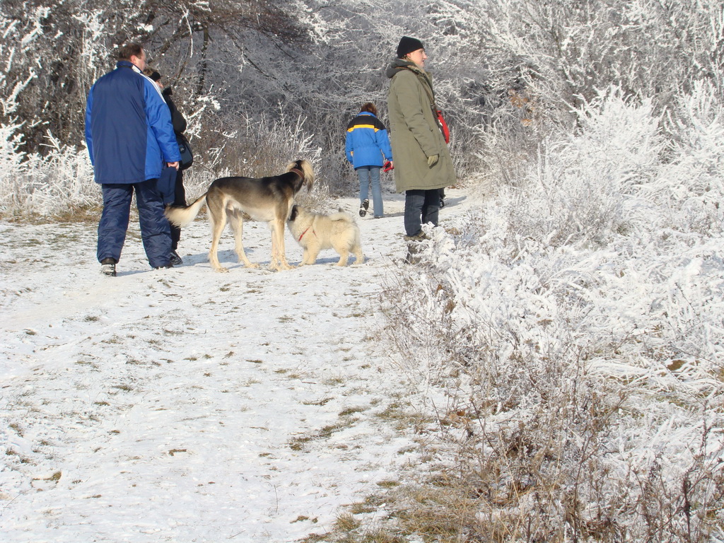 Bankov 25.12.2007