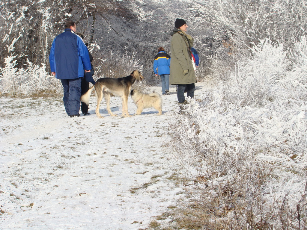 Bankov 25.12.2007