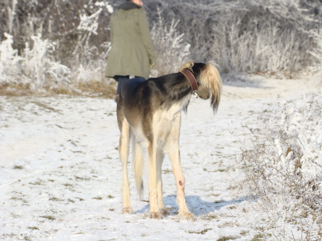 Bankov 25.12.2007