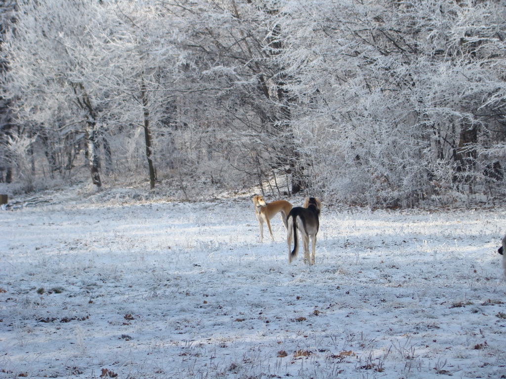 Bankov 25.12.2007