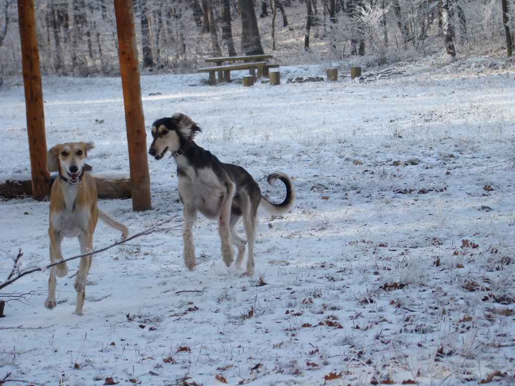 Bankov 25.12.2007