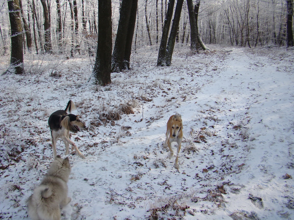 Bankov 25.12.2007