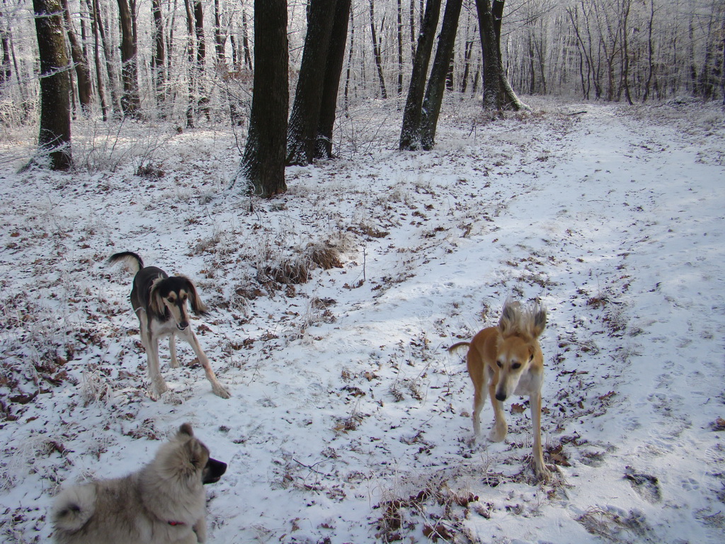 Bankov 25.12.2007