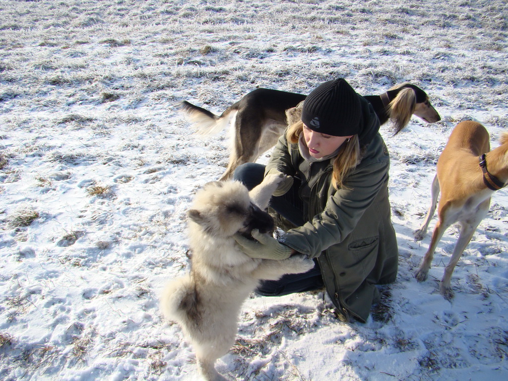 Bankov 25.12.2007