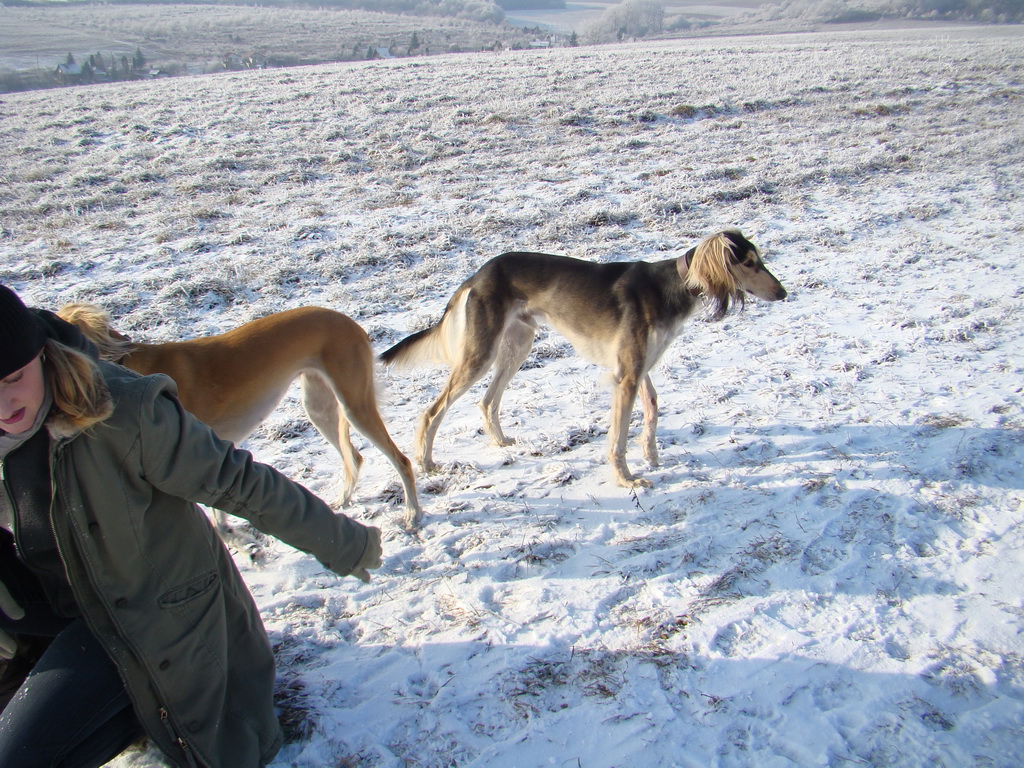 Bankov 25.12.2007