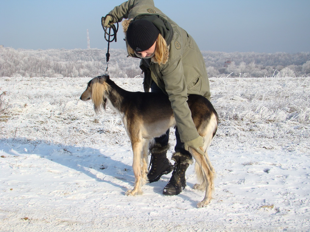 Bankov 25.12.2007