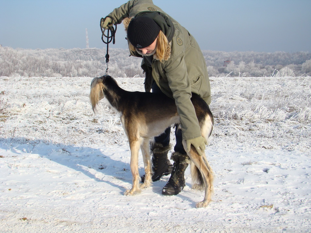 Bankov 25.12.2007