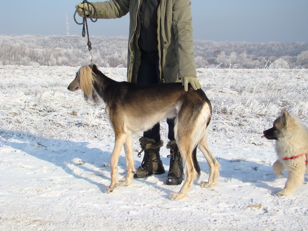 Bankov 25.12.2007